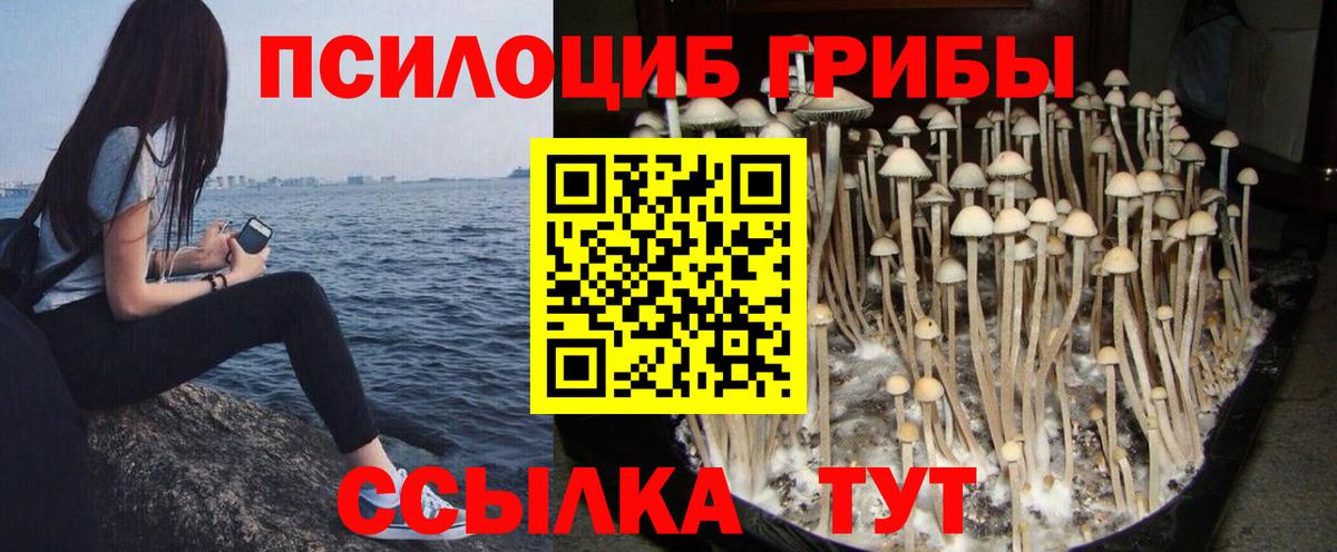 Галлюциногенные грибы ЛСД Истра